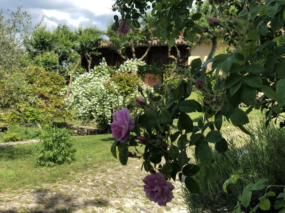 Alloggio per agriturismo Agriturismo La Ferraia Pianello (Marche)